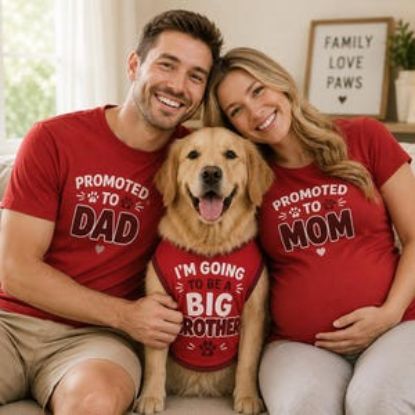Big Brother Dog Shirt, Pregnancy Announcement Pet Jersey, Custom Name Number Dog Clothes, Baby Reveal Cat Dog Outfit, Cute Pet Clothing