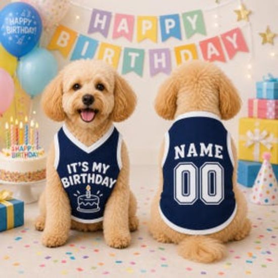 Custom Dog Birthday Jersey, Personalized Pet Birthday Shirt, It's My Birthday Dog Outfit, Name Number Pet Clothing, Birthday Pet Shirt