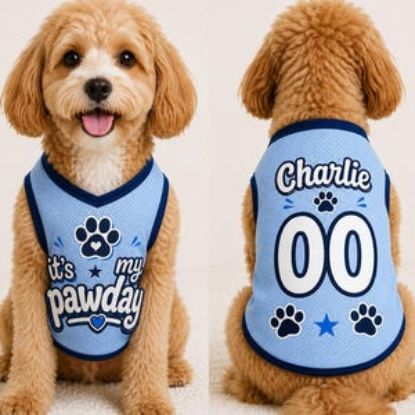 Custom Dog Jersey Shirt, Personalized Pet Outfit with Name Number, It’s My Pawday Puppy Shirt, Cute Dog Clothes, Pet Dog Cat Jersey Gift