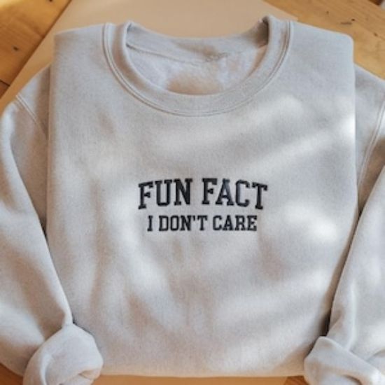 Embroidered Fun Fact I Don't Care Funny Sweatshirt, Sarcastic College Hoodie, Women's Crew Neck, Funny Gift For Friends