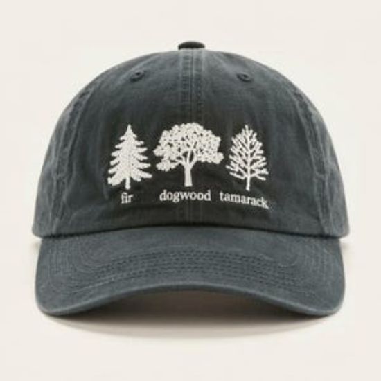 Embroidered Subtle FDT Pigment Dyed Dad Hat, Impeach President Dad Hat, Subtle FDT Hat, Reproductive Rights Hat, Gift for Democrat