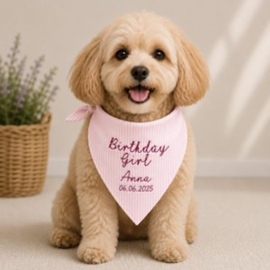 Personalized Birthday Girl Pet Bandana, Custom Embroidered Dog Bandana with Name, Pink Striped Puppy Scarf, Cute Birthday Dog Outfit Gift