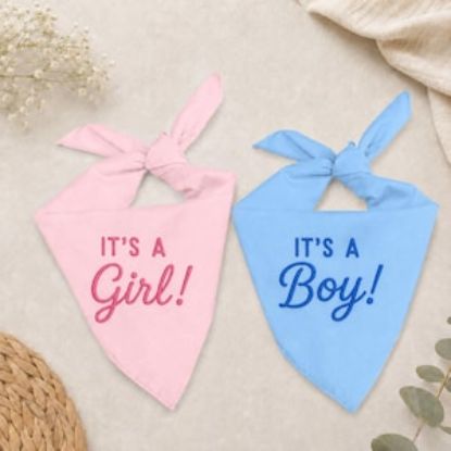 Embroidered Gender Reveal Dog Bandana, It’s A Girl It’s A Boy Pet Bandana, Baby Announcement Dog Scarf, Puppy Reveal Gift, Dog Cat Bandana