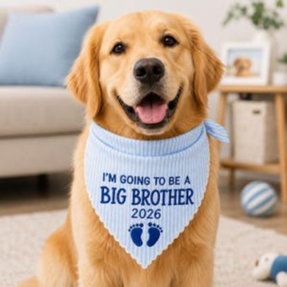 Big Brother Dog Bandana, Pregnancy Announcement Pet Bandana, Embroidered Puppy Scarf, Striped Dog Bandana, Baby Reveal Dog Accessory