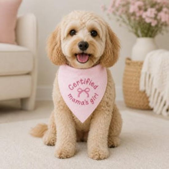 Certified Mama’s Girl Pet Bandana, Personalized Pink Striped Dog Bandana, Embroidered Puppy Scarf, Cute Girly Dog Accessories, Pet Gift Idea