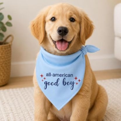 Patriotic 250 Dog Bandana, All American Good Boy Pet Bandana, Embroidered 4th July Dog Scarf, Cute USA Puppy Bandana, Summer Pet Accessory