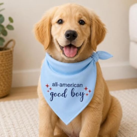 Patriotic 250 Dog Bandana, All American Good Boy Pet Bandana, Embroidered 4th July Dog Scarf, Cute USA Puppy Bandana, Summer Pet Accessory