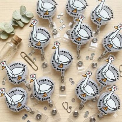 Registered Silly Goose Badge Reel, Nurse RN Humor Accessory, Acrylic Keychain, Phone Charm Set