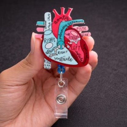 Anatomical Heart Badge Reel, Nurse ID Holder, Cardiology Medical Student Accessory