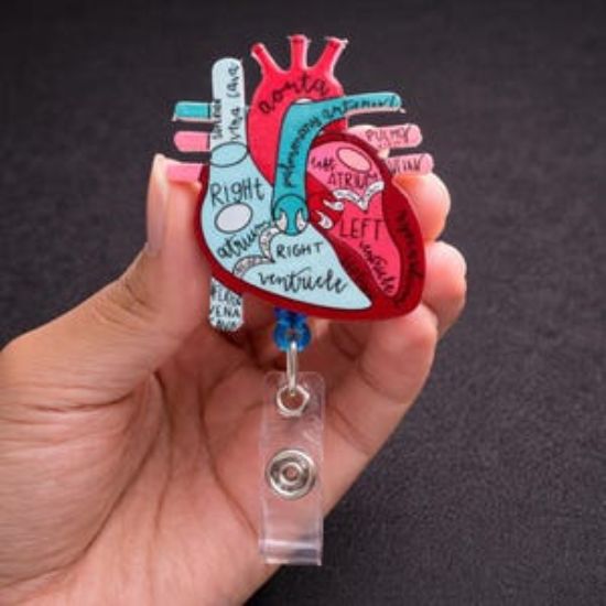 Anatomical Heart Badge Reel, Nurse ID Holder, Cardiology Medical Student Accessory
