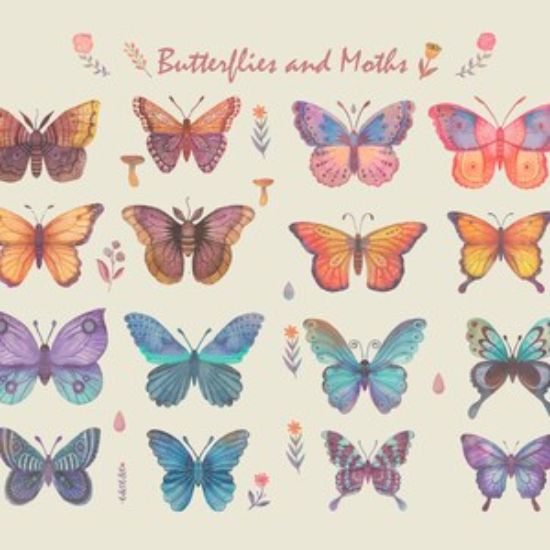 Schmetterling und Motte Clipart Bundle PNG, Aquarell Schmetterlinge Grafiken, Vintage Insekt Clipart, AI Vektor, 300 DPI Sublimationsdesign